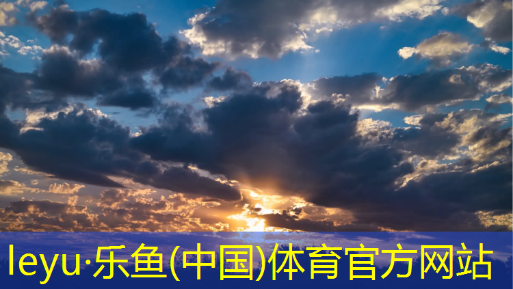 <strong>乐鱼体育,临夏全塑型塑胶跑道报价</strong>